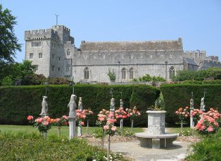 Trandafiri la Saint Donat’s Castle