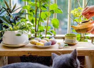 205 Mesaje De Buna Dimineata Noi