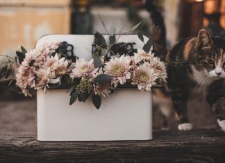 208 Mesaje De Condoleante