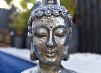 252 Citate Intelepte – Citate Celebre