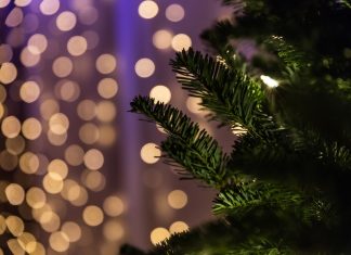 270 Mesaje De Craciun