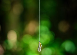 292 Citate Motivationale – Cele Mai Inspirationale Si Frumoase Citate