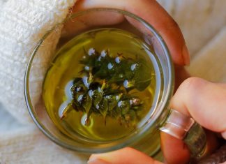 Adevarul despre ceaiul verde si pierderea in greutate: mit sau realitate?