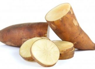 Cartofi Yacon: Aflati despre beneficiile sale pentru sanatate